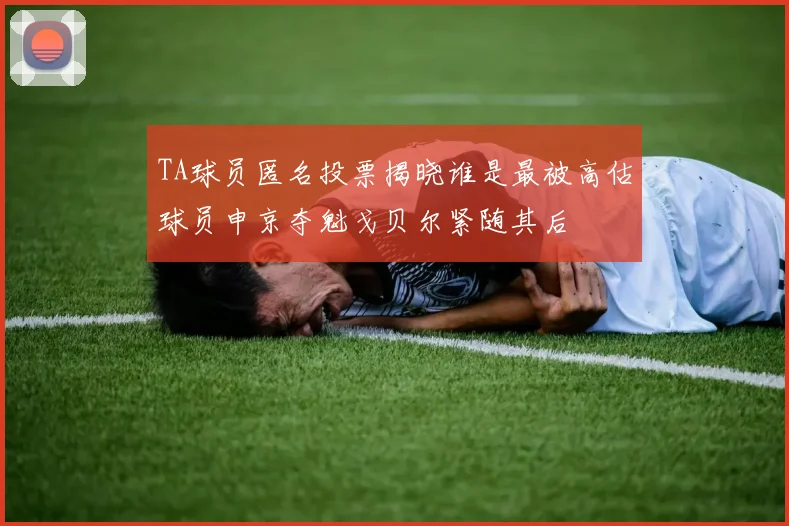 TA球员匿名投票揭晓谁是最被高估球员申京夺魁戈贝尔紧随其后
